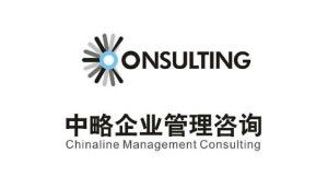广州中略企业管理咨询