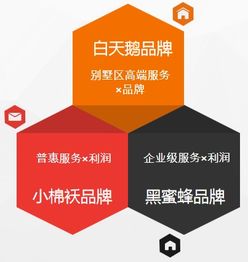 小棉袄北京管理咨询与吉视传媒共同推动垂直孵化器的落地
