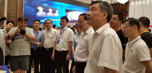 助力湖南中小企业发展,湖南新星管理咨询争创行业标杆