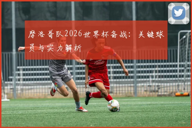 摩洛哥队2026世界杯备战:关键球员与实力解析
