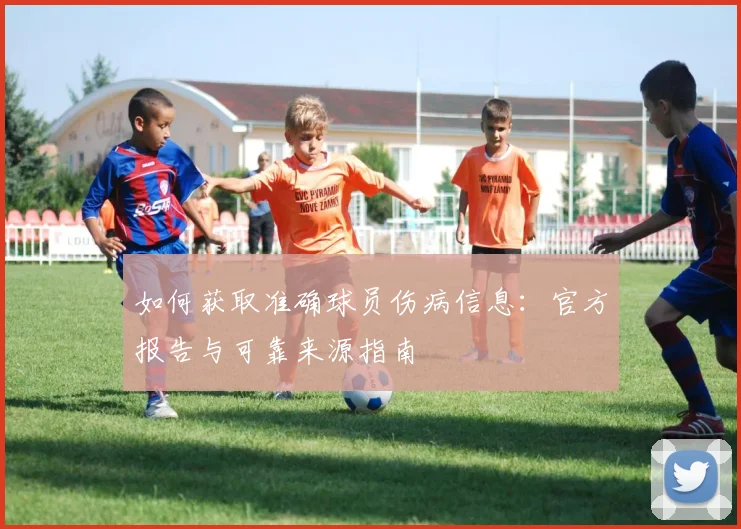如何获取准确球员伤病信息:官方报告与可靠来源指南