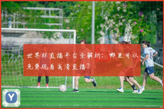 世界杯直播平台全解析：哪里可以免费观看高清直播？