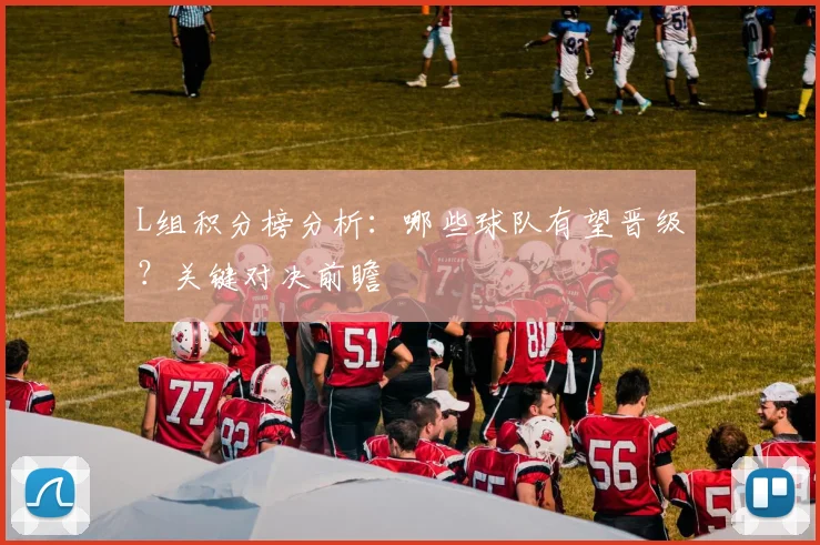 L组积分榜分析:哪些球队有望晋级?关键对决前瞻